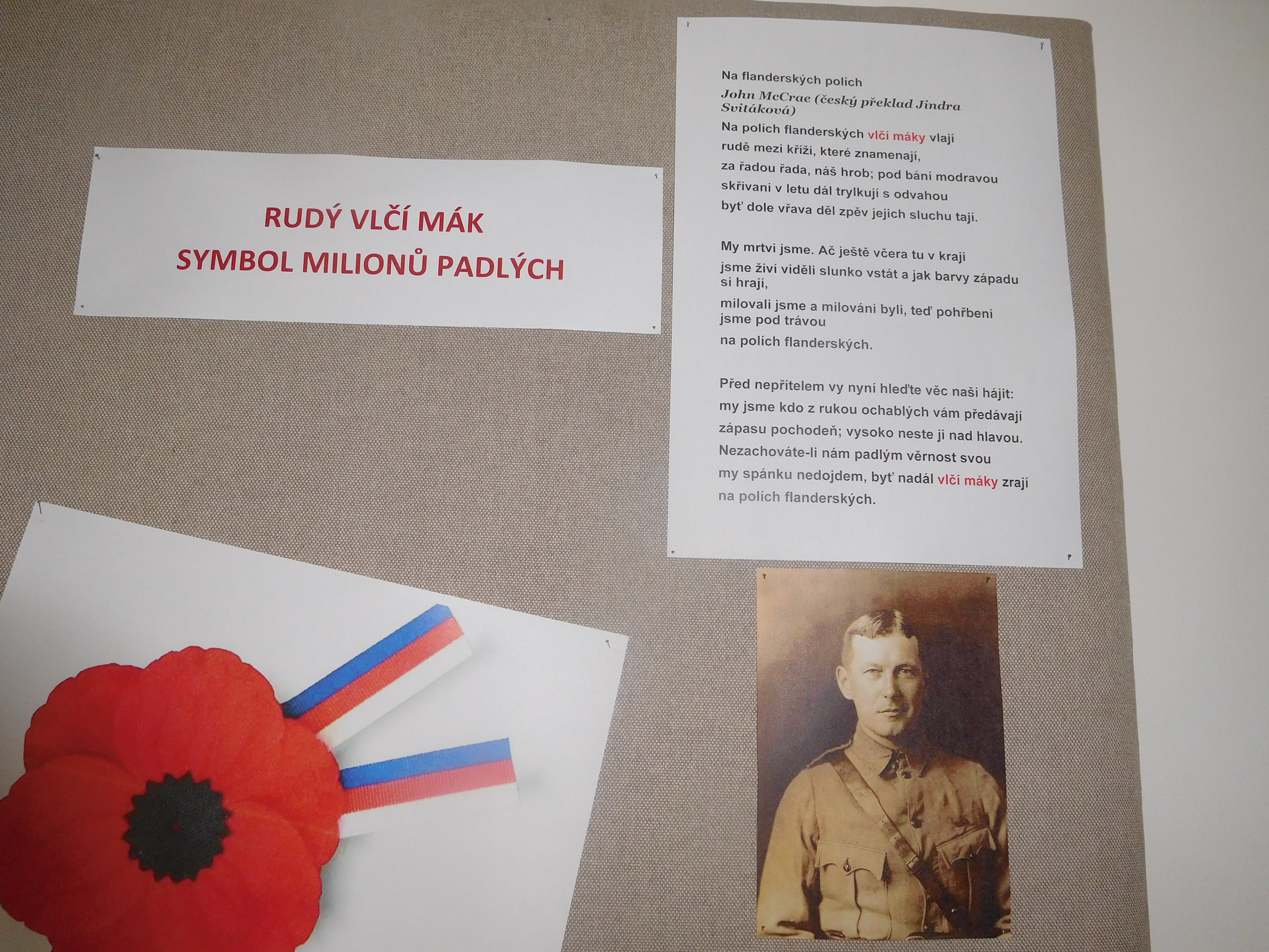 vlčí mák - symbol padlých vojáků