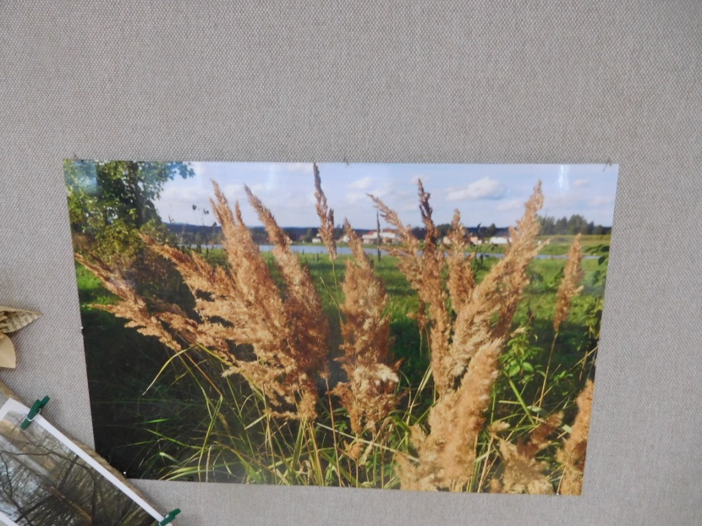 DSCN8740