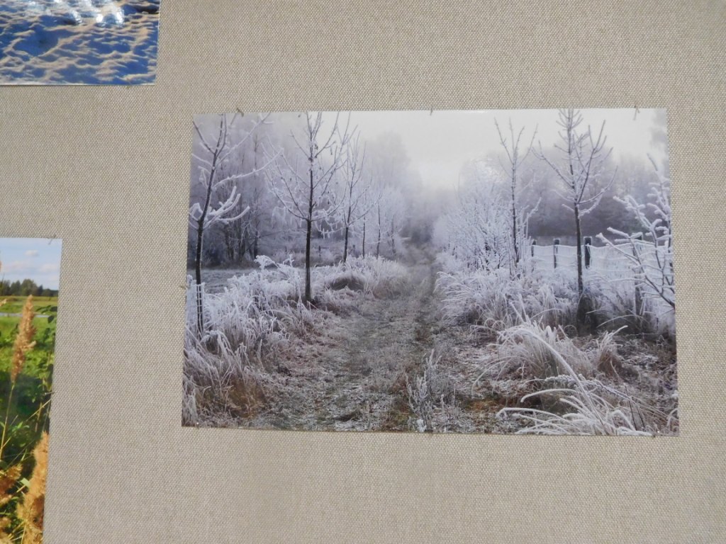 DSCN8664
