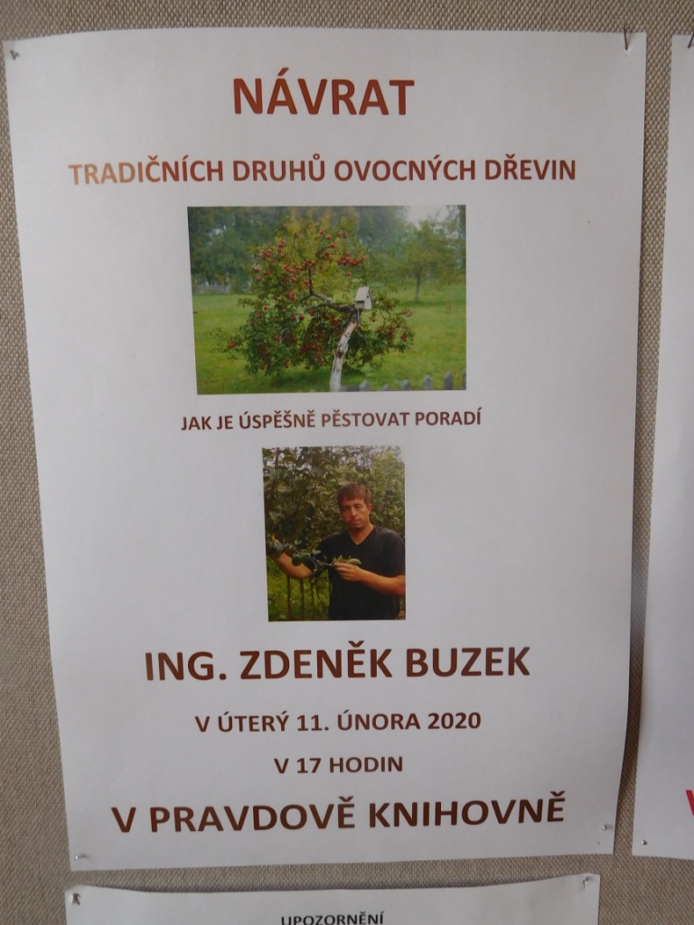 DSCN8784