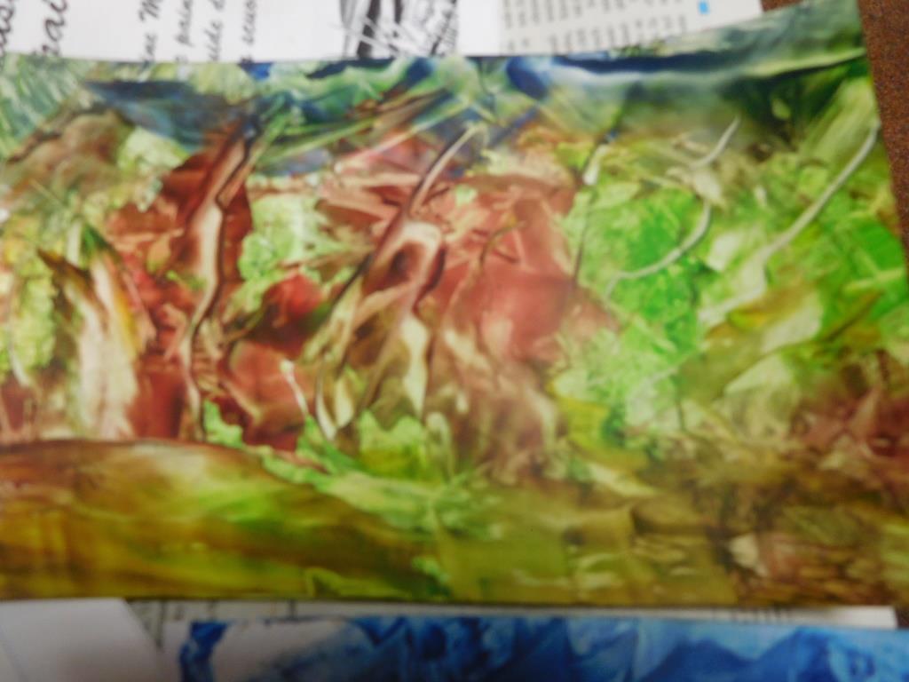 DSCN4483