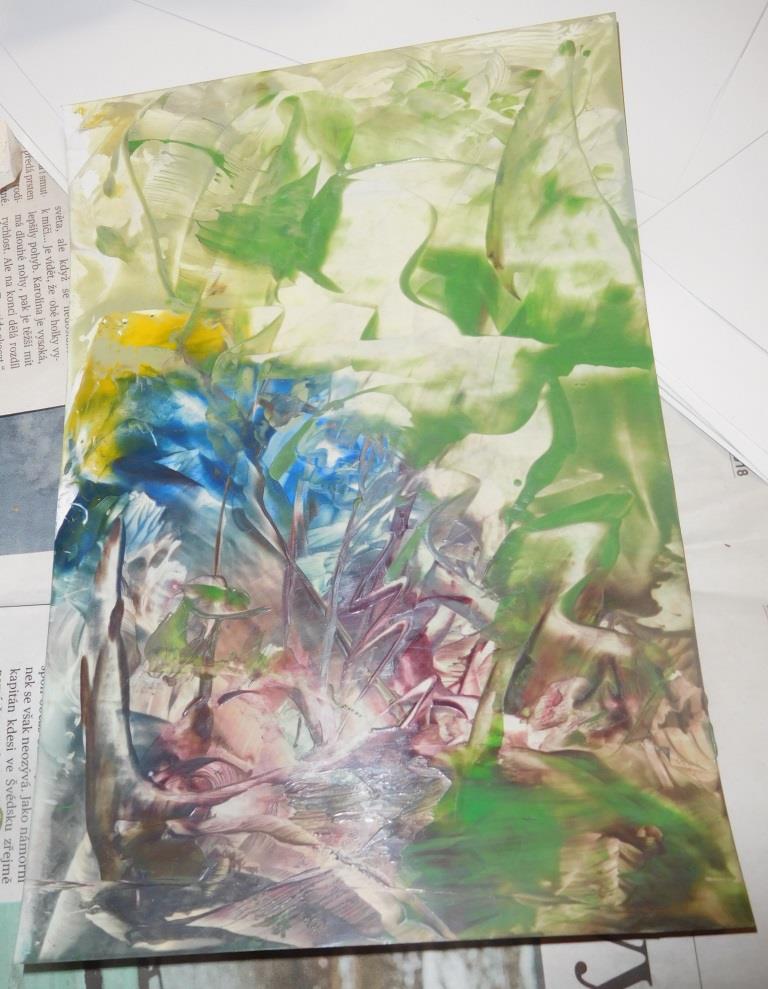 DSCN4488