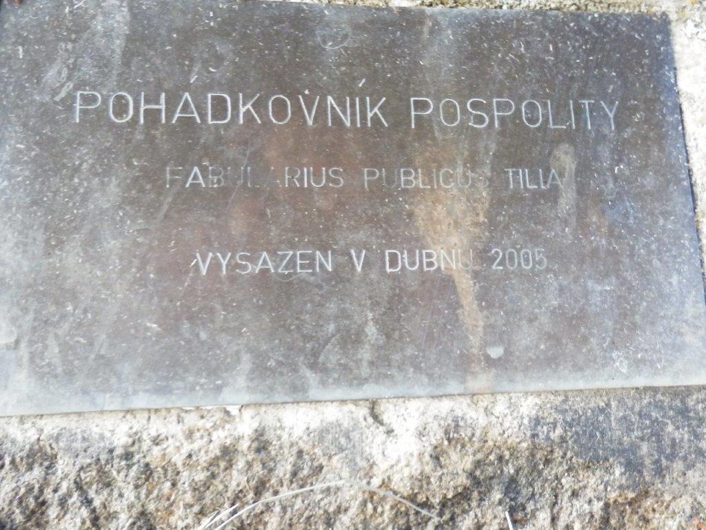 P6124937